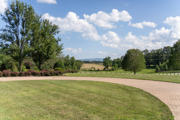 DSC09593-Edit DSC09593-Edit