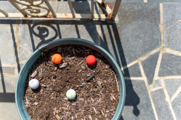 DSC01251-Edit DSC01251-Edit