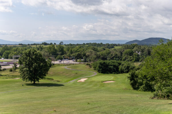 DSC01255-Edit DSC01255-Edit