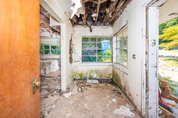 DSC_6123-Edit DSC_6123-Edit