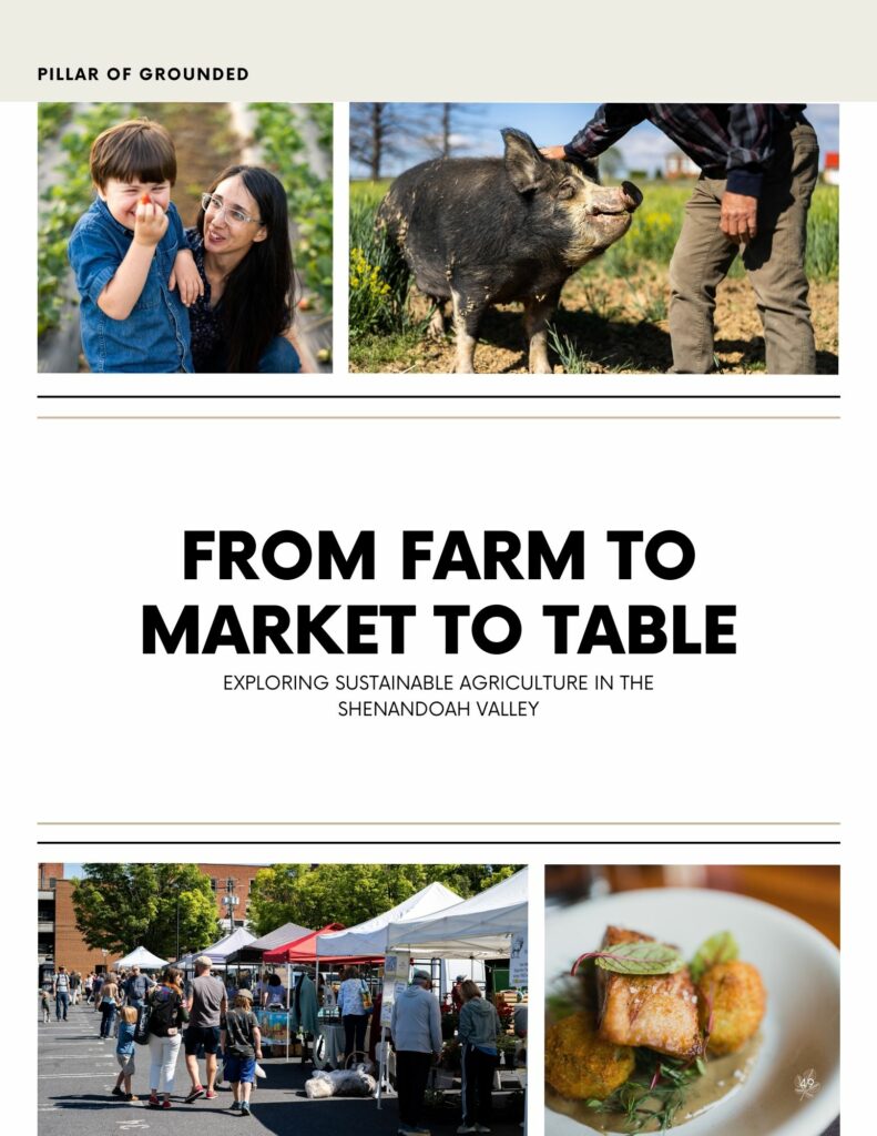 farm to market to table