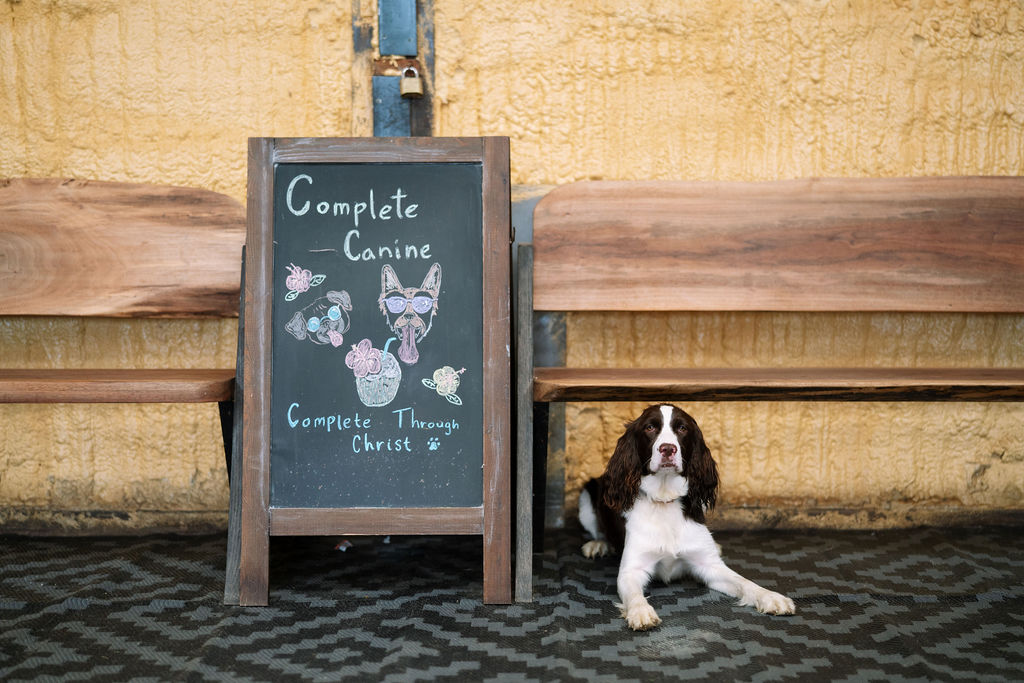 Black-and-white dog sitting beside a chalkboard displaying Complete Canine branding.