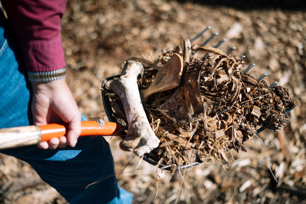 Close-up of a shovel lifting bedding and wood chips during farm work.
