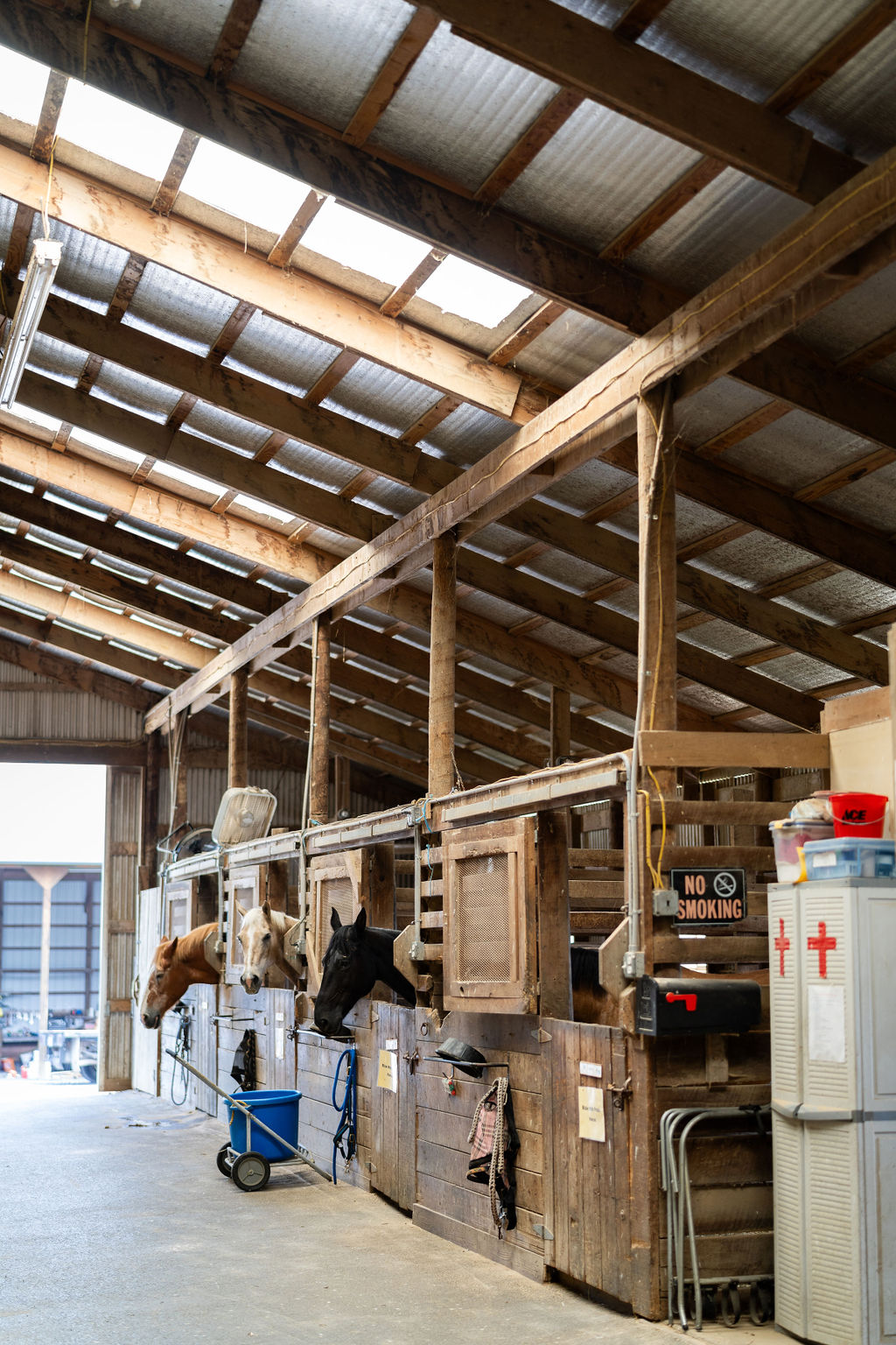 Wooden beams and stall fronts along a tall, sunlit stable aisle.