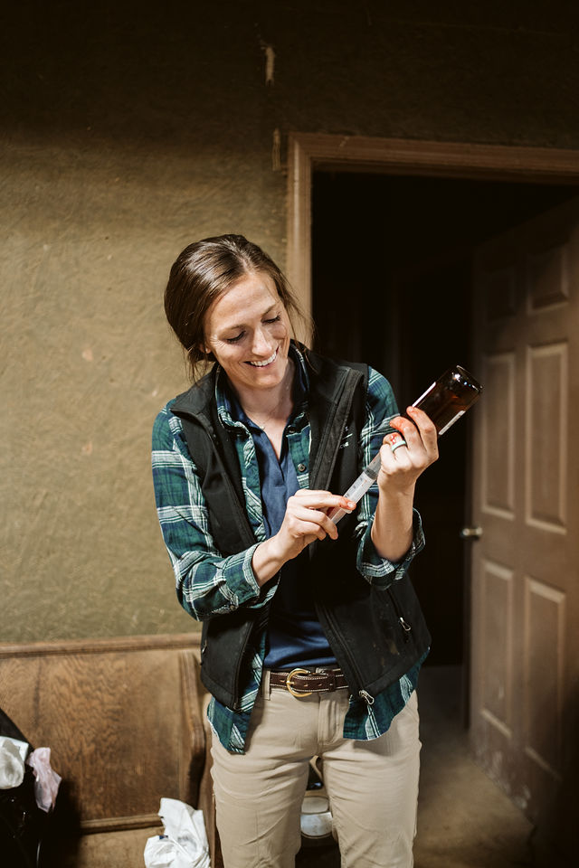 Veterinary professional preparing equipment beside a stable stall.