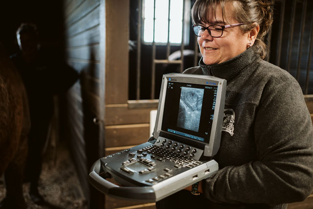 Veterinary professional holding a portable ultrasound machine in a stable.